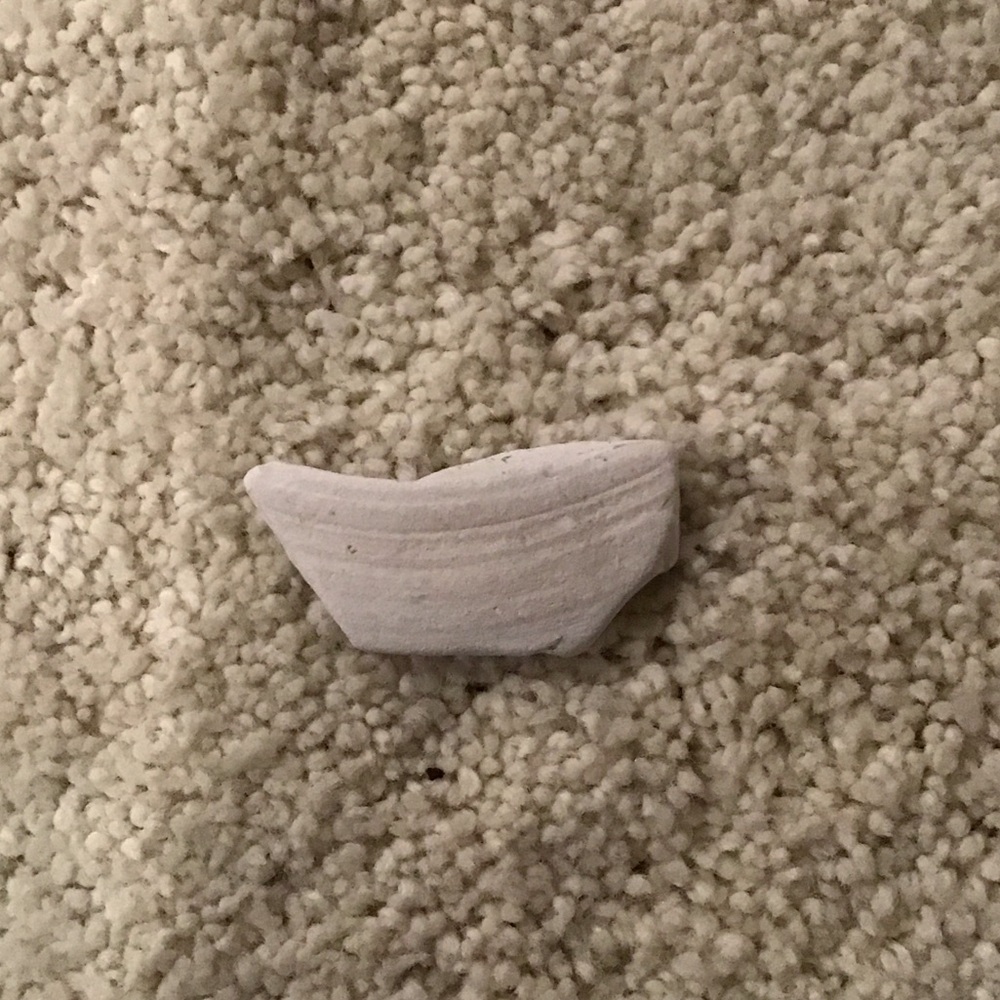 White Ceramic Shard